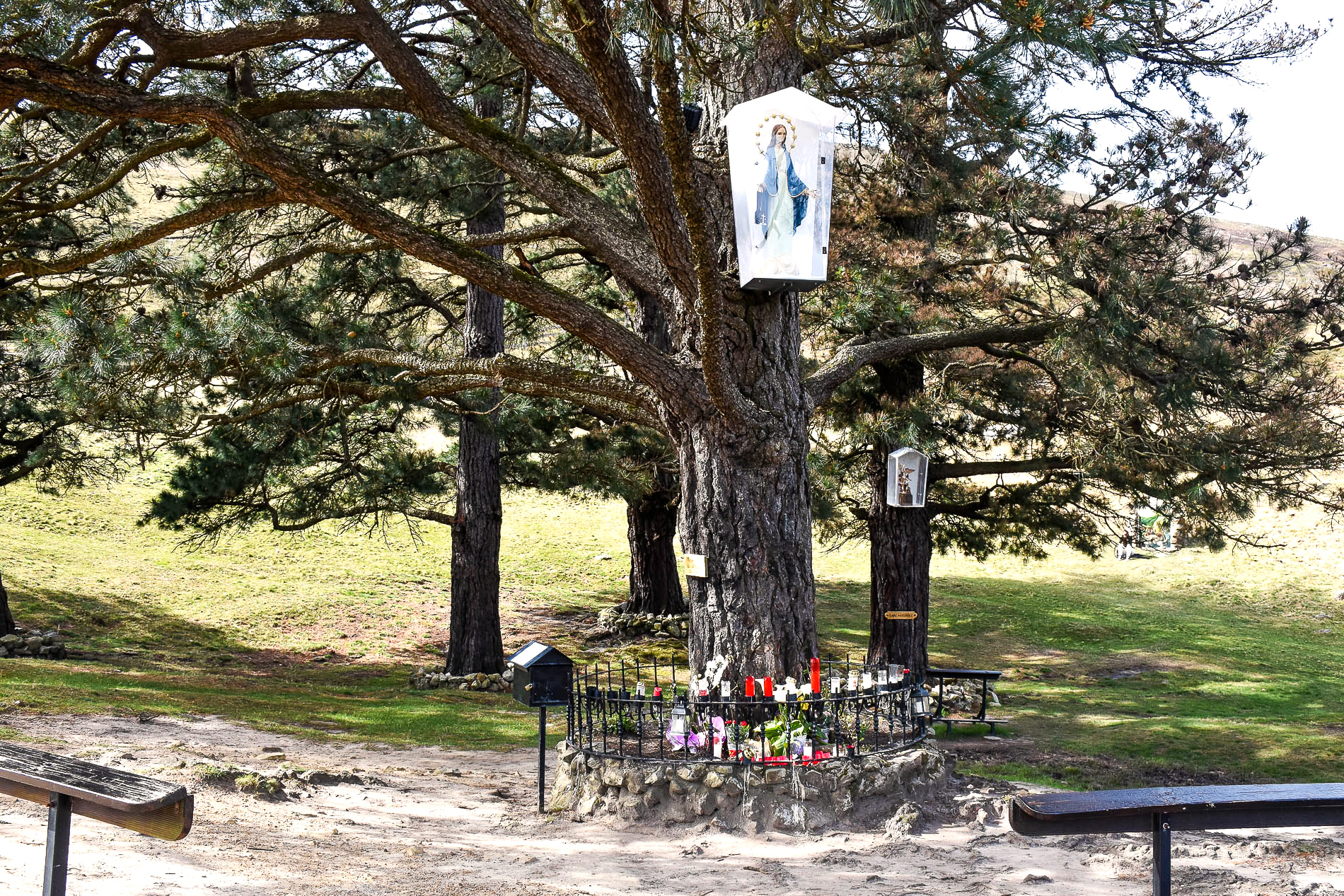 Los Pinos de Garabandal